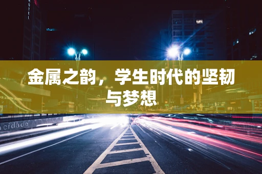 金属之韵，学生时代的坚韧与梦想