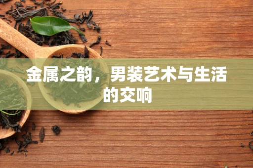 金属之韵，男装艺术与生活的交响