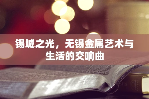 锡城之光，无锡金属艺术与生活的交响曲