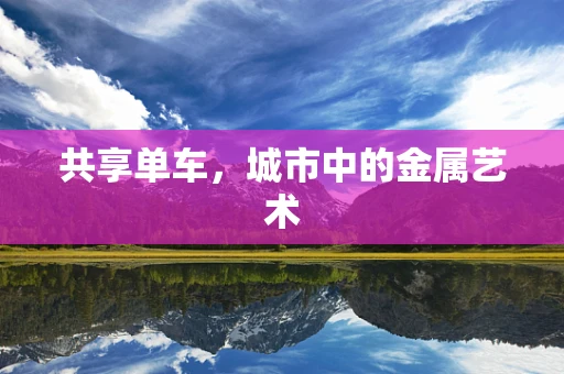 共享单车，城市中的金属艺术