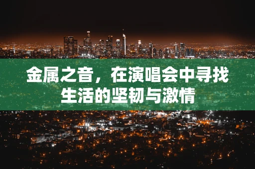 金属之音，在演唱会中寻找生活的坚韧与激情
