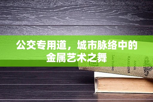 公交专用道，城市脉络中的金属艺术之舞