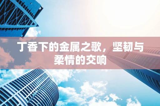 丁香下的金属之歌，坚韧与柔情的交响