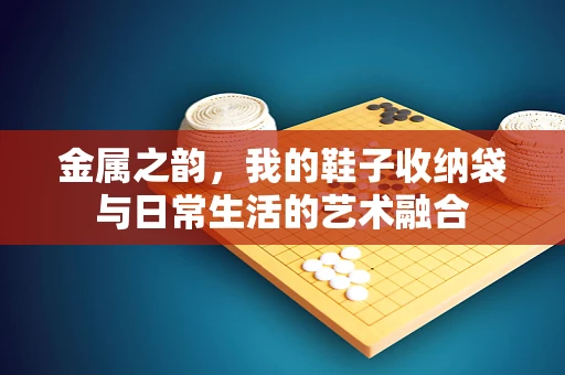 金属之韵，我的鞋子收纳袋与日常生活的艺术融合