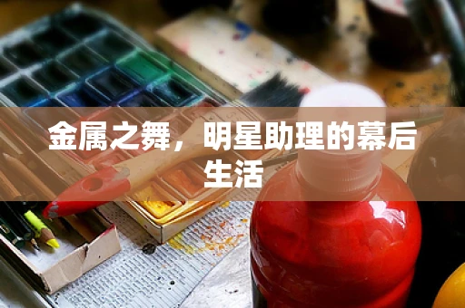 金属之舞，明星助理的幕后生活