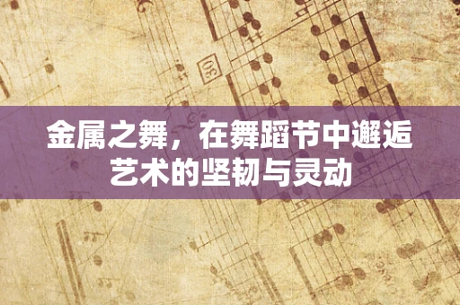 金属之舞，在舞蹈节中邂逅艺术的坚韧与灵动