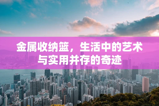 金属收纳篮，生活中的艺术与实用并存的奇迹