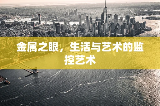 金属之眼，生活与艺术的监控艺术