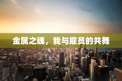 金属之魂，我与雇员的共舞