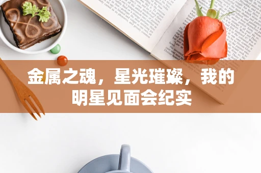 金属之魂，星光璀璨，我的明星见面会纪实