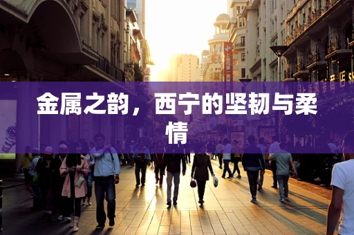 金属之韵，西宁的坚韧与柔情