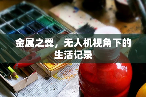 金属之翼，无人机视角下的生活记录