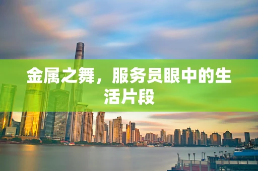 金属之舞，服务员眼中的生活片段