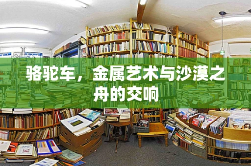 骆驼车，金属艺术与沙漠之舟的交响