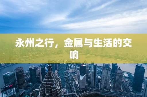 永州之行，金属与生活的交响