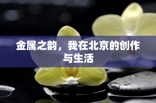金属之韵，我在北京的创作与生活