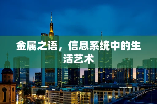 金属之语，信息系统中的生活艺术