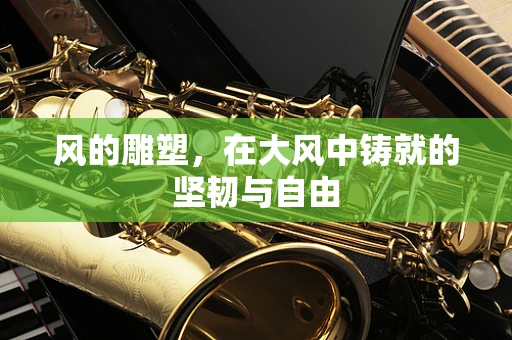 风的雕塑，在大风中铸就的坚韧与自由