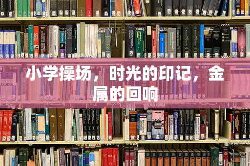 小学操场，时光的印记，金属的回响