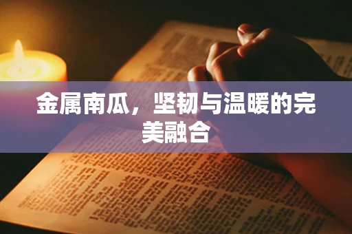 金属南瓜，坚韧与温暖的完美融合