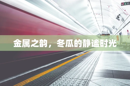 金属之韵，冬瓜的静谧时光