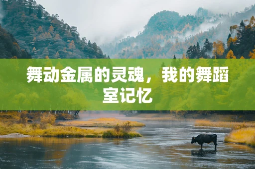 舞动金属的灵魂，我的舞蹈室记忆