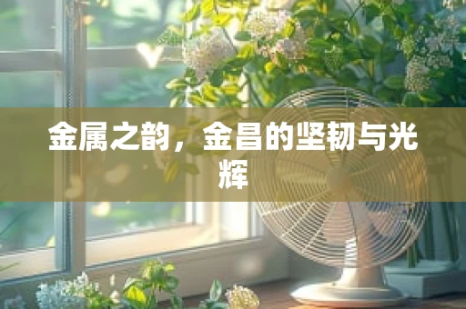 金属之韵，金昌的坚韧与光辉