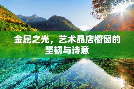 金属之光，艺术品店橱窗的坚韧与诗意