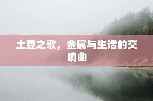 土豆之歌，金属与生活的交响曲