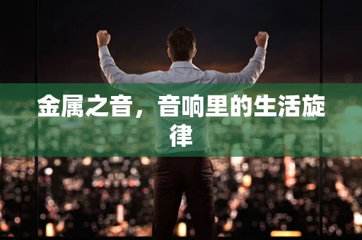 金属之音，音响里的生活旋律