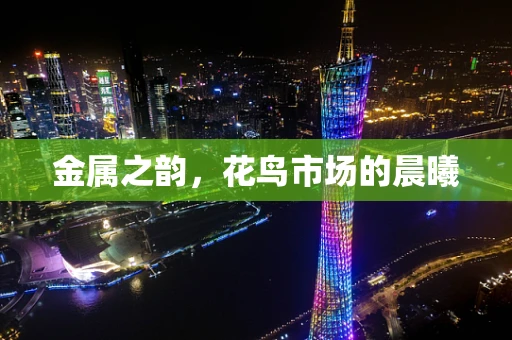 金属之韵，花鸟市场的晨曦