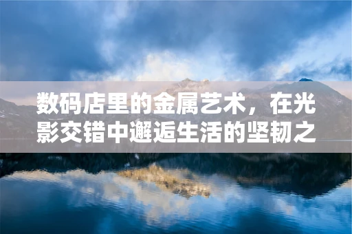数码店里的金属艺术，在光影交错中邂逅生活的坚韧之美