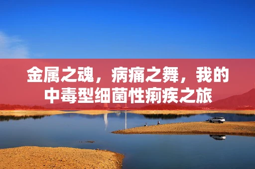 金属之魂，病痛之舞，我的中毒型细菌性痢疾之旅