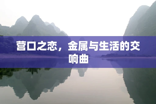 营口之恋，金属与生活的交响曲