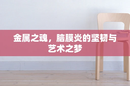 金属之魂，脑膜炎的坚韧与艺术之梦