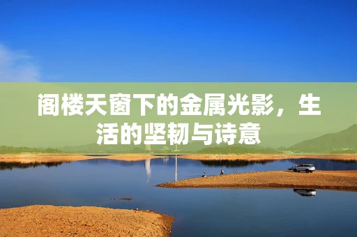 阁楼天窗下的金属光影，生活的坚韧与诗意