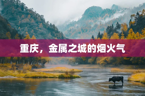 重庆，金属之城的烟火气