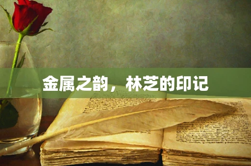金属之韵，林芝的印记