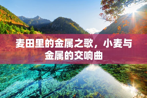 麦田里的金属之歌，小麦与金属的交响曲