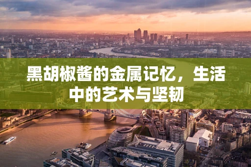 黑胡椒酱的金属记忆，生活中的艺术与坚韧