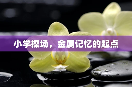 小学操场，金属记忆的起点