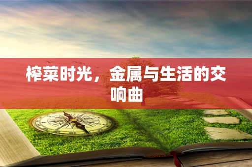 榨菜时光，金属与生活的交响曲