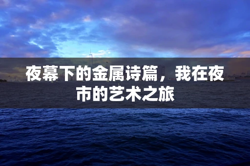 夜幕下的金属诗篇，我在夜市的艺术之旅