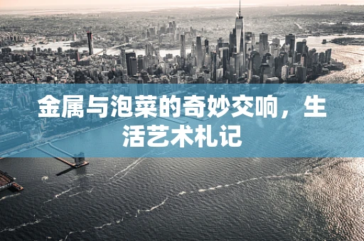 金属与泡菜的奇妙交响，生活艺术札记
