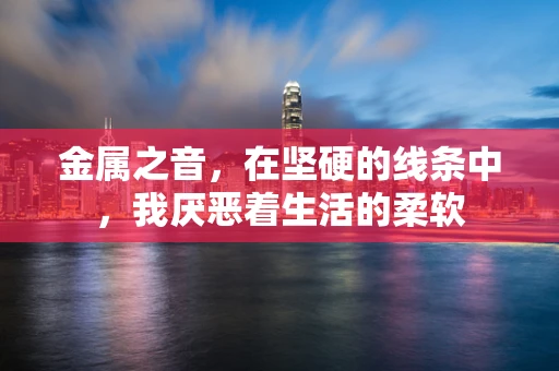 金属之音，在坚硬的线条中，我厌恶着生活的柔软