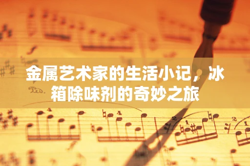金属艺术家的生活小记，冰箱除味剂的奇妙之旅