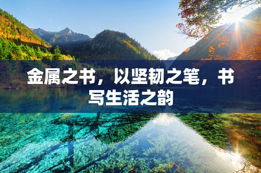 金属之书，以坚韧之笔，书写生活之韵