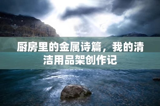 厨房里的金属诗篇，我的清洁用品架创作记