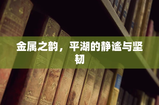 金属之韵，平湖的静谧与坚韧