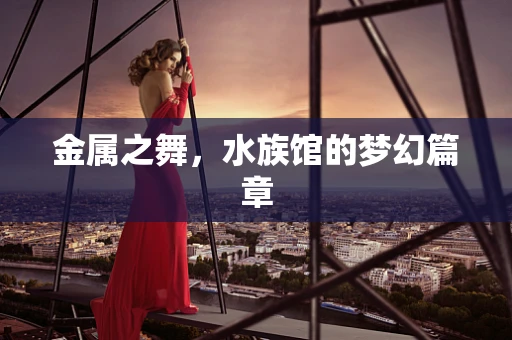 金属之舞，水族馆的梦幻篇章